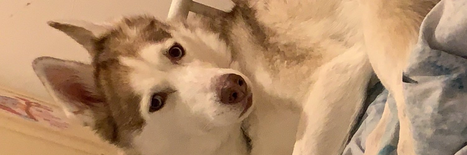 mljwilliams's profile banner image