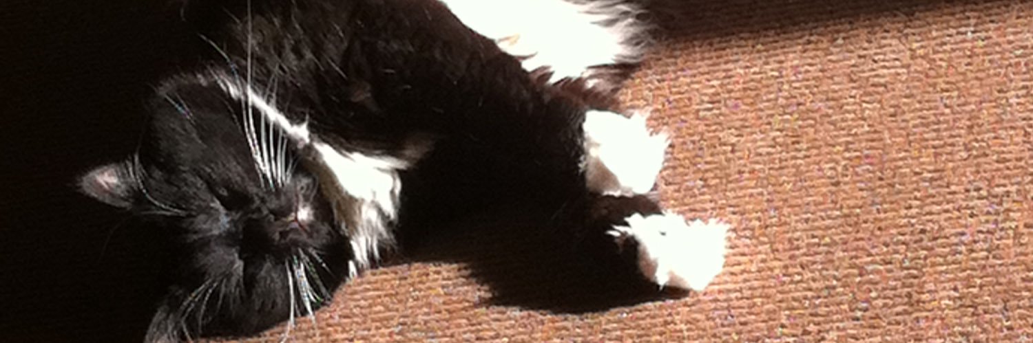 celtickat's profile banner image
