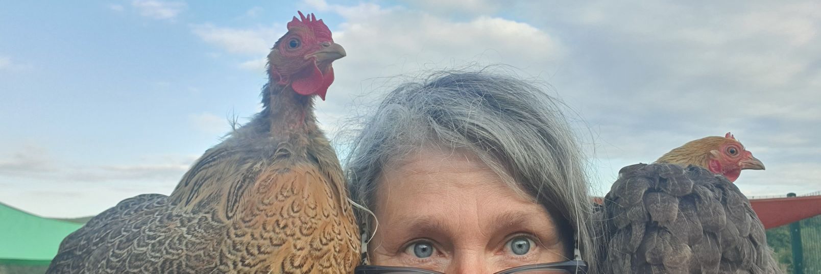 Marina Pepper banner