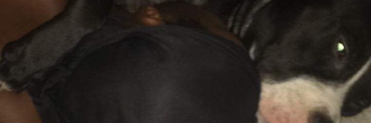 KeldronChatman's profile banner image