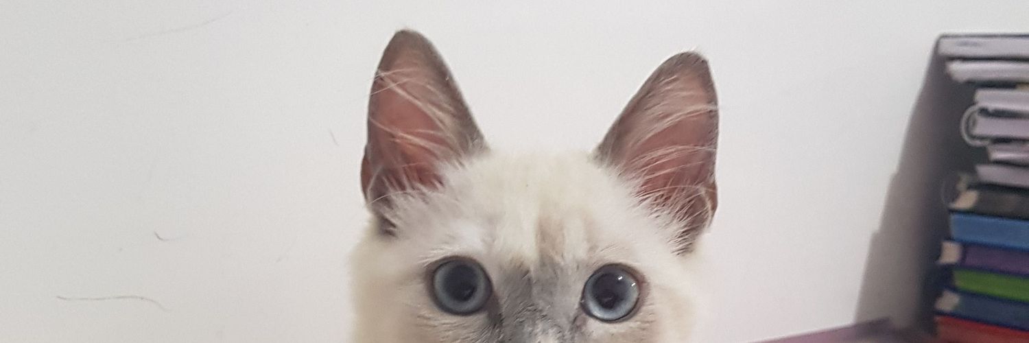 mabirebs's profile banner image
