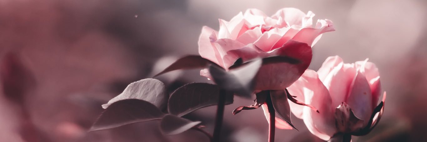 Treyton Oviatt banner