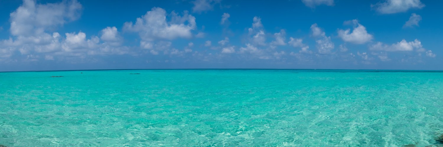 Nickjol's profile banner image