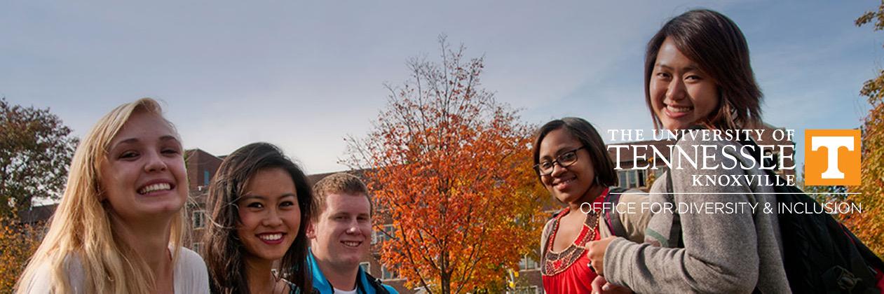 UT Diversity banner