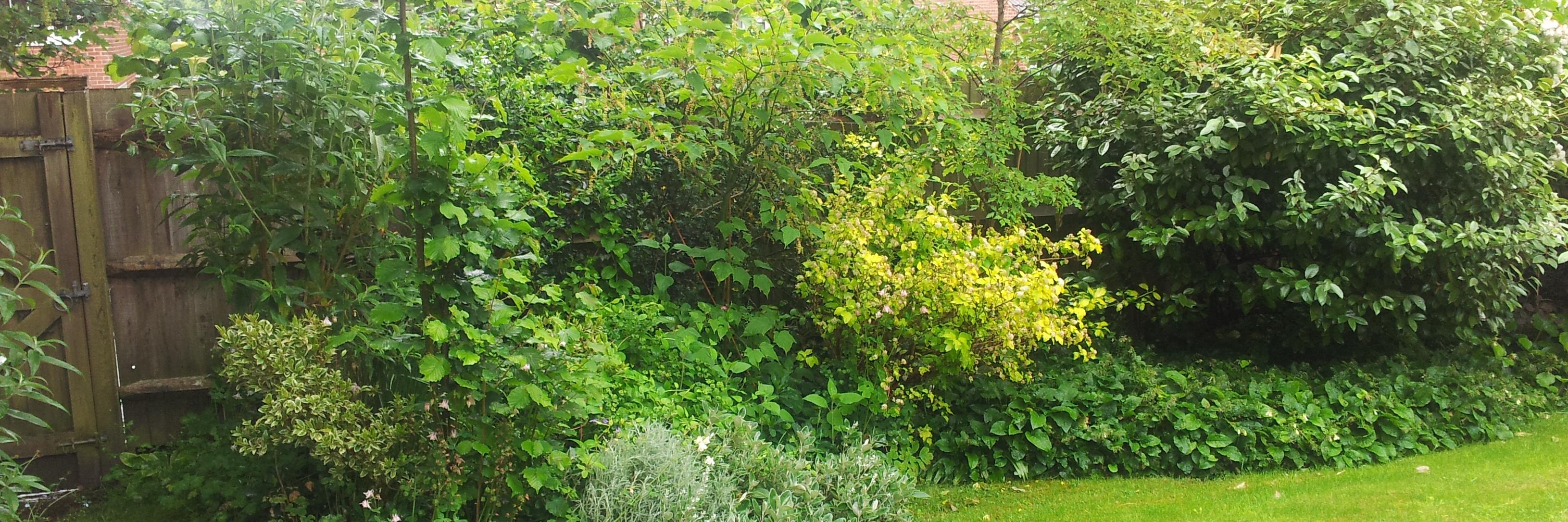 Anthony Beaumont banner