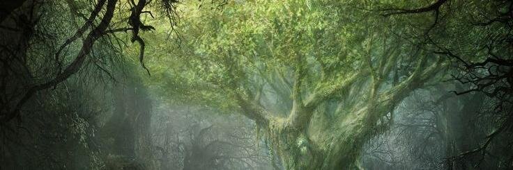 Annariel_'s profile banner image