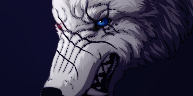 Kamil Wilczek banner