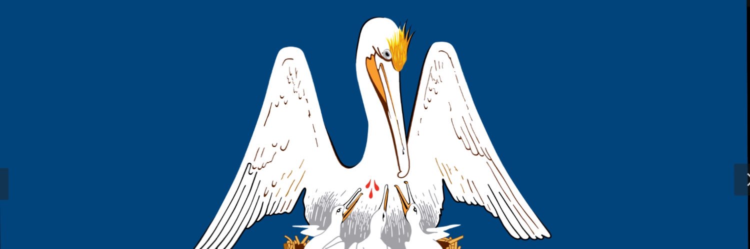 rmicaissy's profile banner image