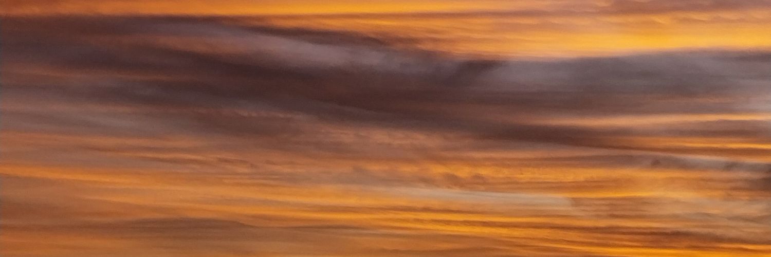 Cotibertolina's profile banner image