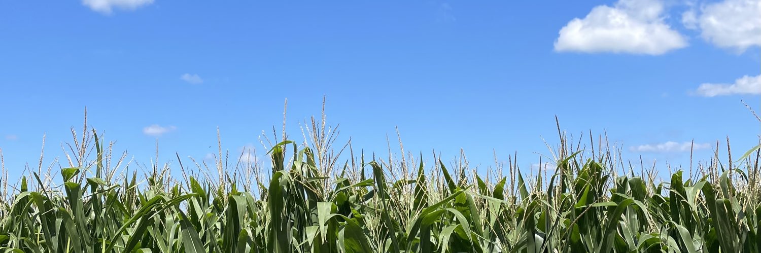 Austin Swanson banner