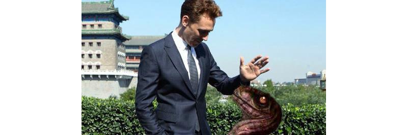 TWHiddlesaurus's profile banner image