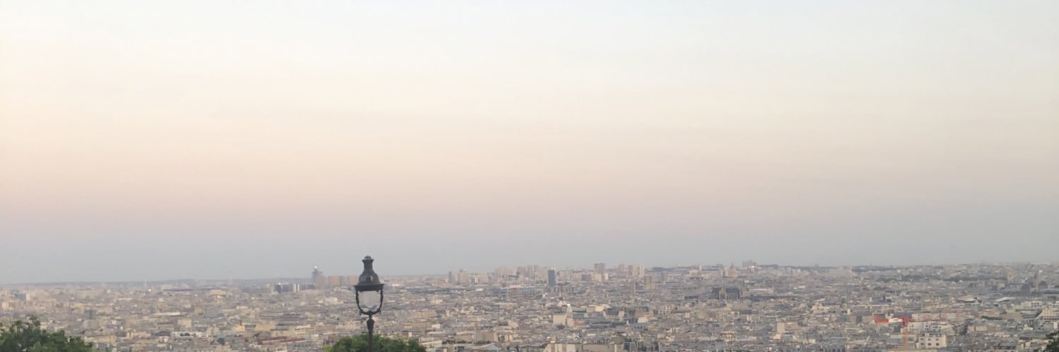 delphine Garrigue banner