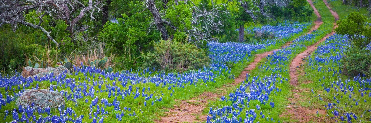 Amy McAllister banner
