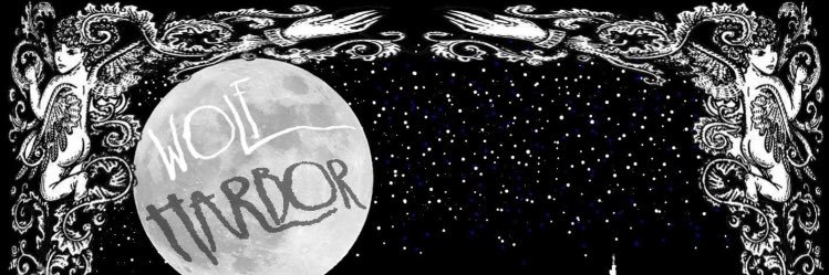 WolfHarbor's profile banner image