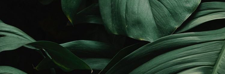 imyeshra's profile banner image