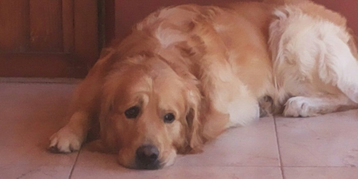 agusbouvier's profile banner image