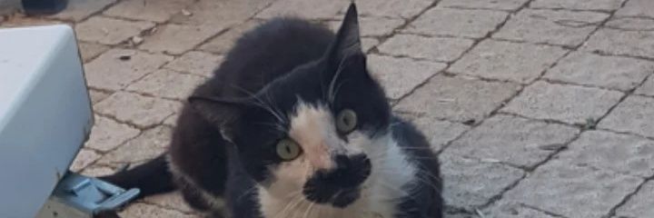 utkuesas's profile banner image