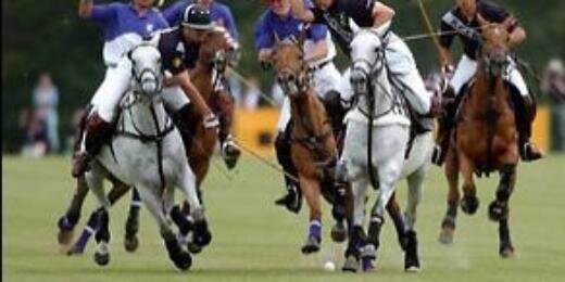 worldpoloclub's profile banner image