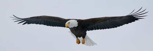 Charles Cramer Profile Banner