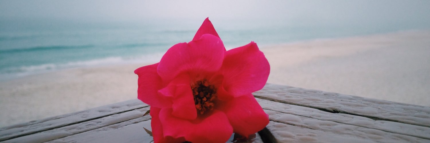 grace_esterline's profile banner image