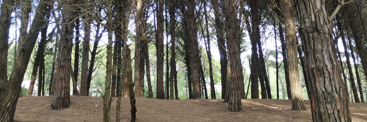 BeardTomas27's profile banner image