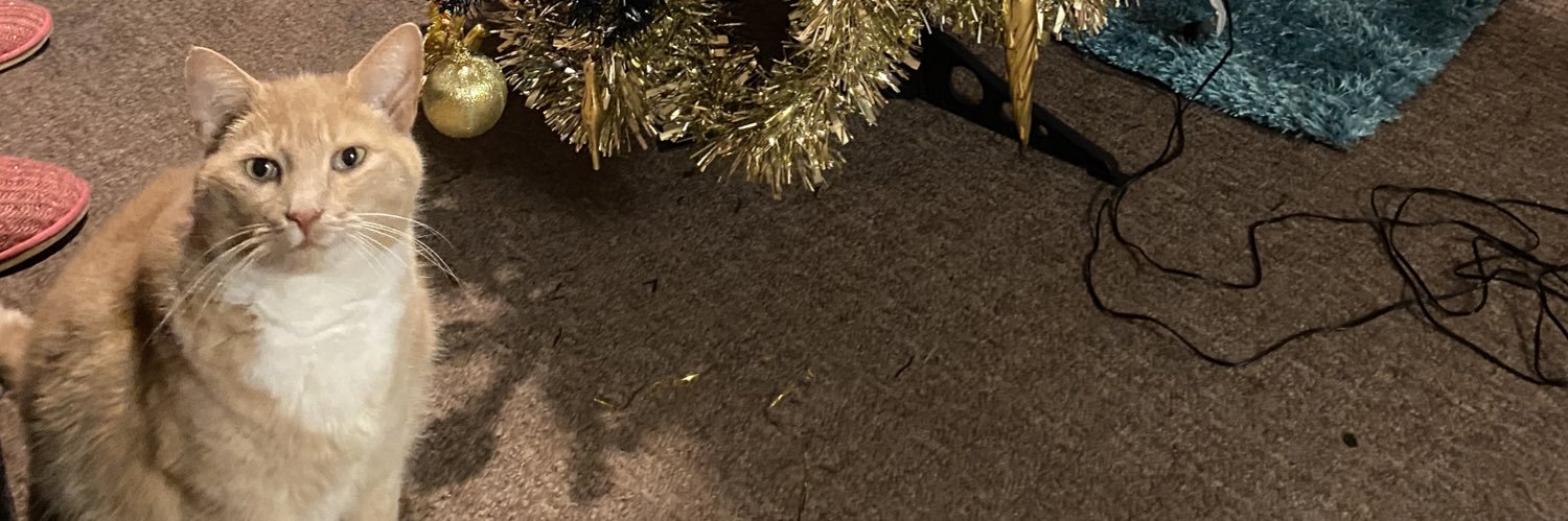 jamieswanx's profile banner image