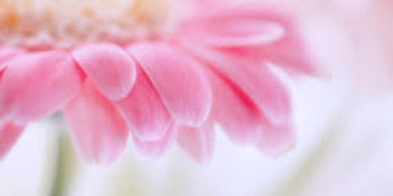 jessicageuke's profile banner image
