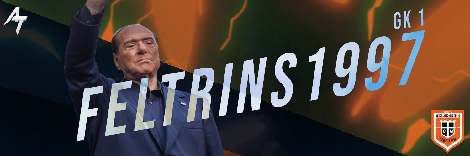 Alessandro Feltrin banner