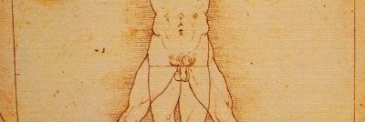 𝓐𝓵𝓮𝓹𝓱 banner