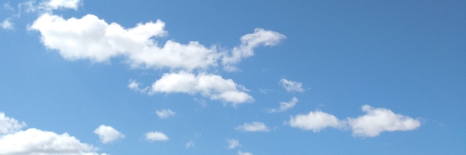 sílvia sansegundo ☂️ banner