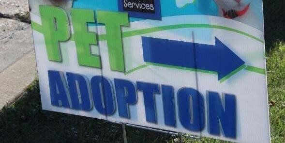 DASAdoptions's profile banner image