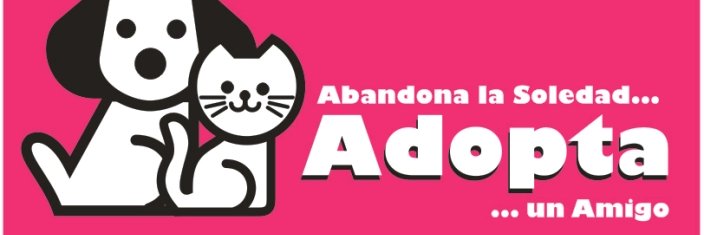 Moisés Cedeño banner