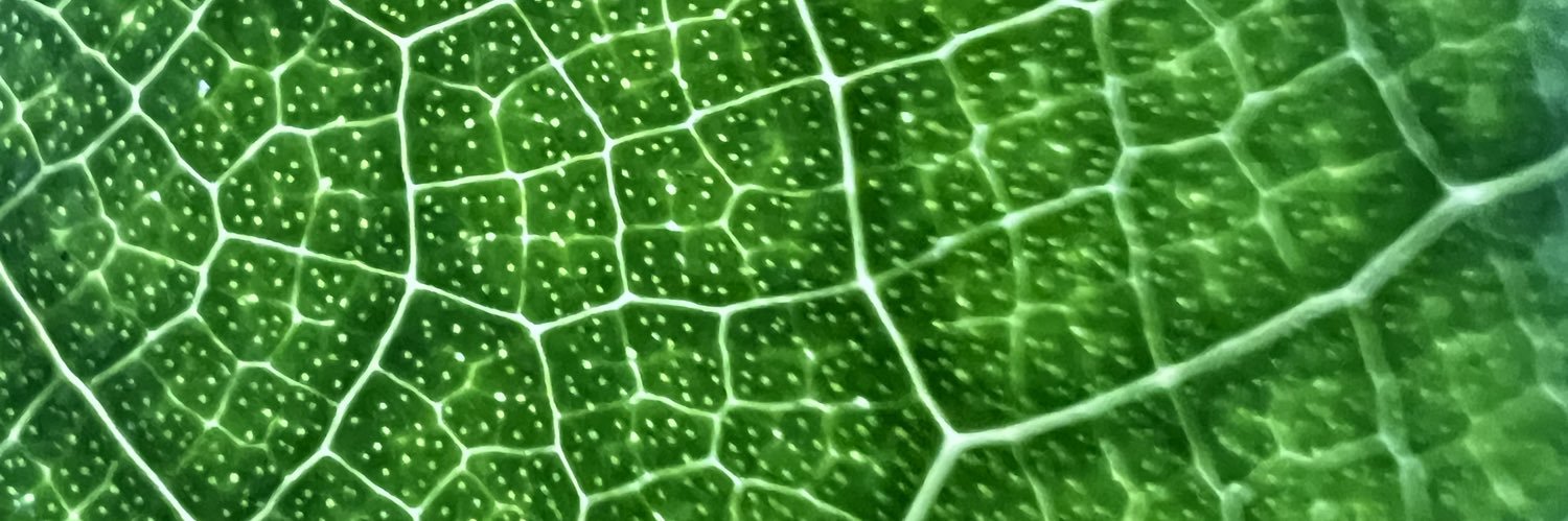 eli_cottle's profile banner image
