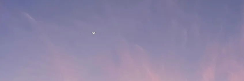 framboisas's profile banner image