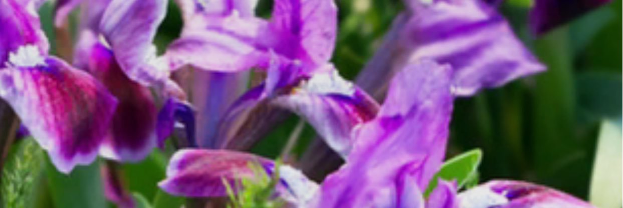 KarsonCamielle's profile banner image