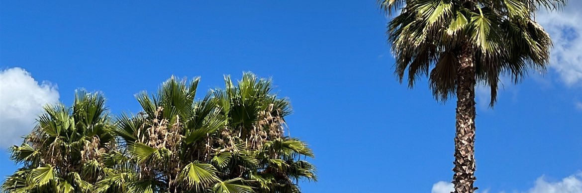 cataportugal's profile banner image