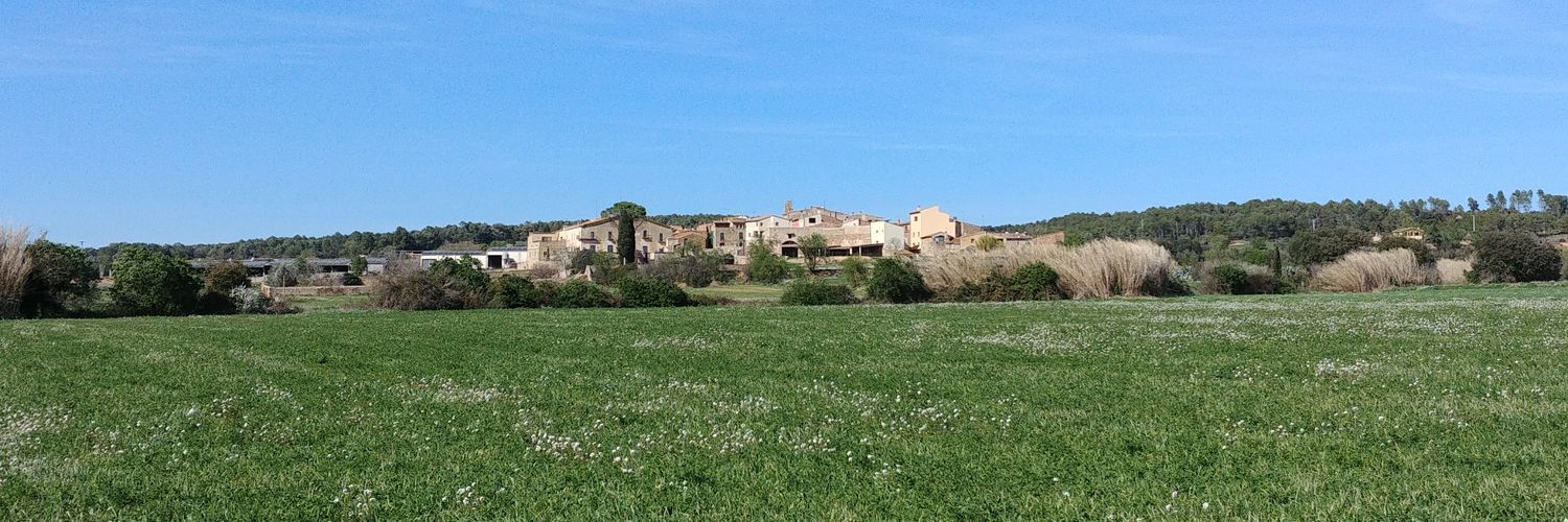 Eligius ||*|| 🏴 banner