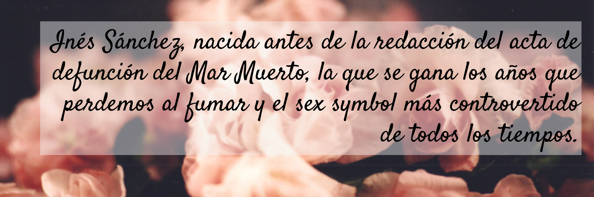 soyInesSanchez's profile banner image
