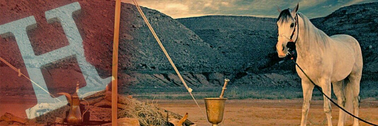 ali_garwi's profile banner image