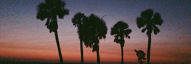 ericareed's profile banner image