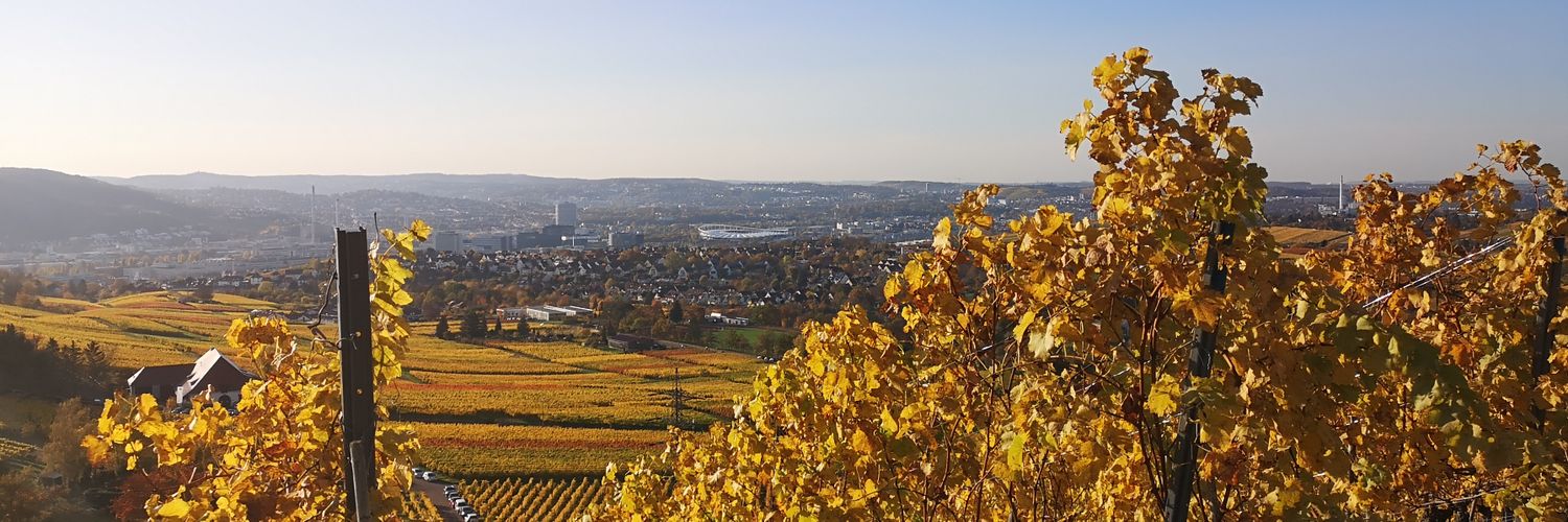 Yannick Mühlbacher banner