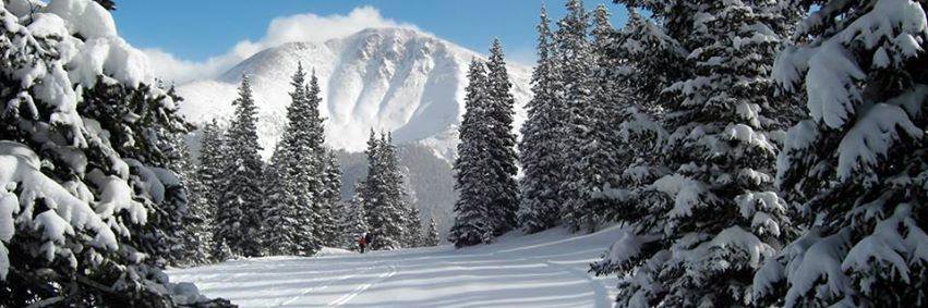 Minus Zero Festival banner