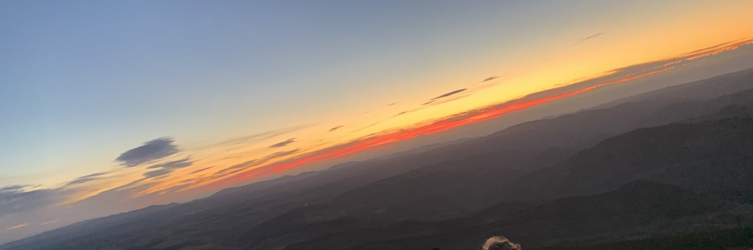 FABRICE VEYSSEYRE-REDON banner