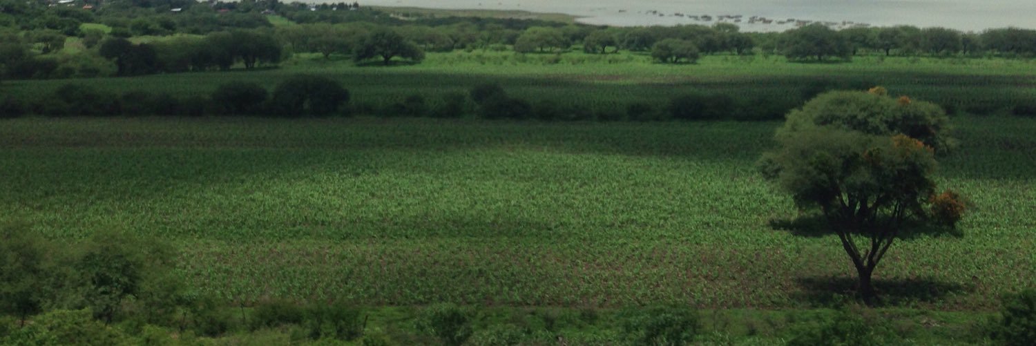ferchost_'s profile banner image