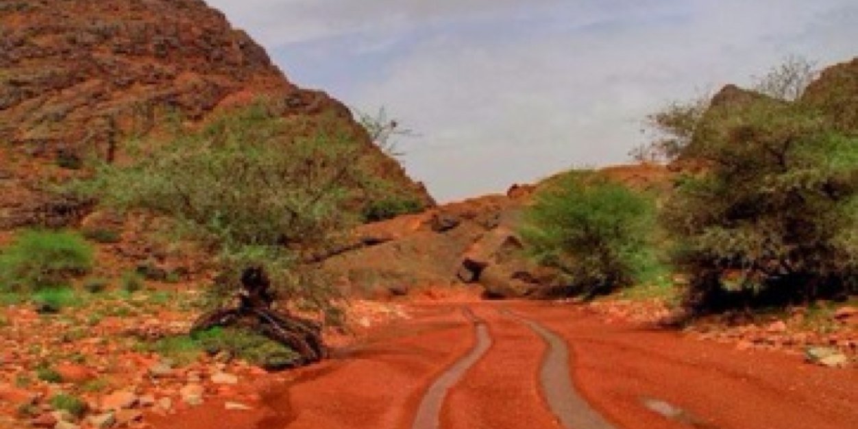 bnnnhfcx's profile banner image