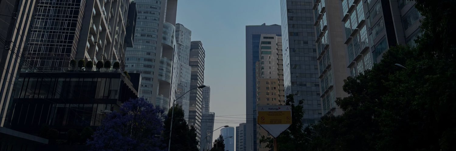 katecolamina's profile banner image