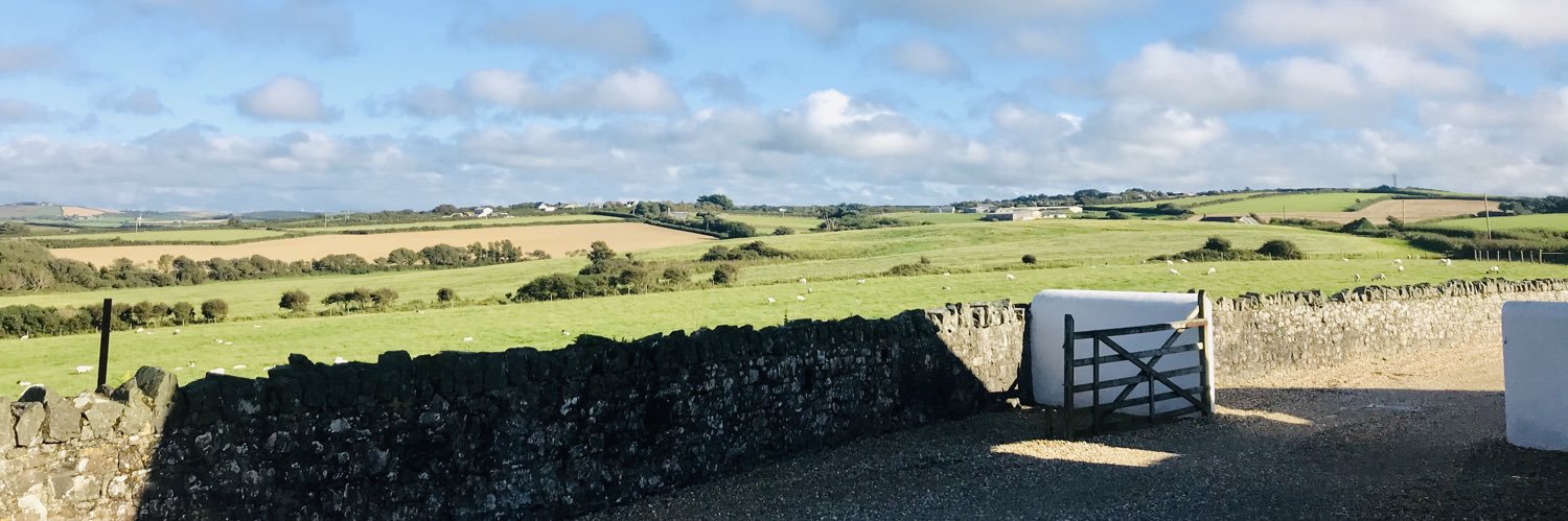 widemouthbarns's profile banner image