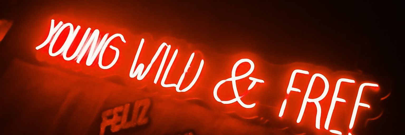 maria luiza banner
