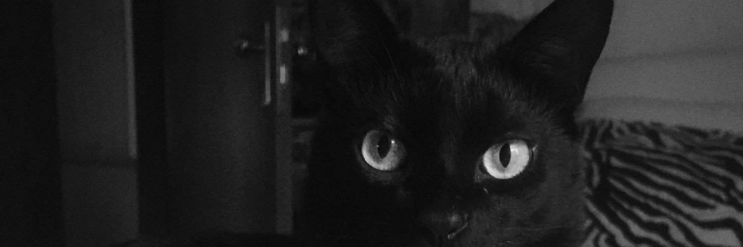 SilvanaCorde's profile banner image