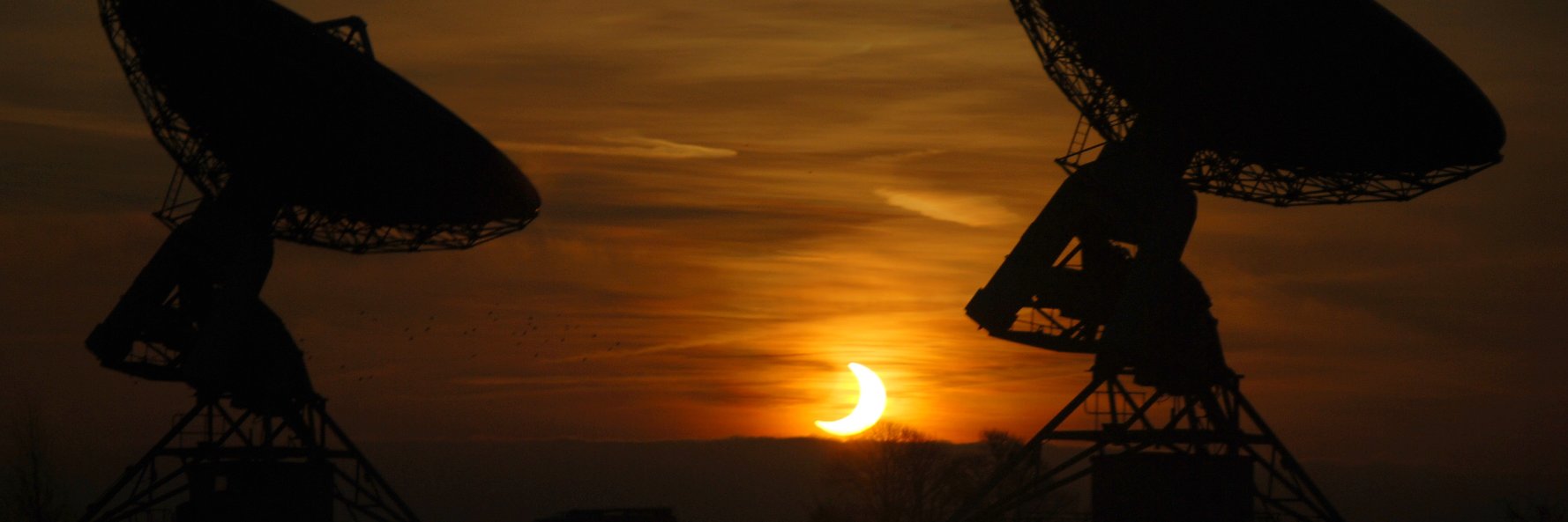 Brigitta Sipőcz banner